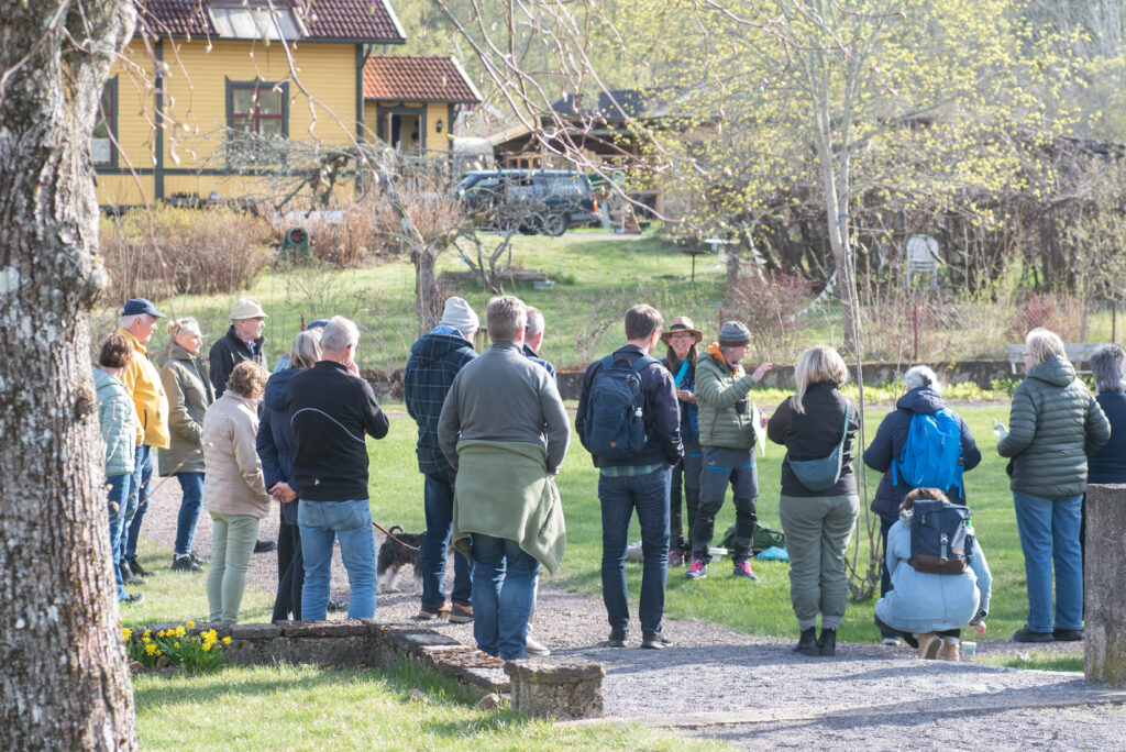 Grupp människor samlade utomhus i en parkmiljö under den guidade vandringen.