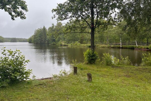 Sjö omgiven av grönskande träd och gräsyta vid strandkanten i Kronobergs län.