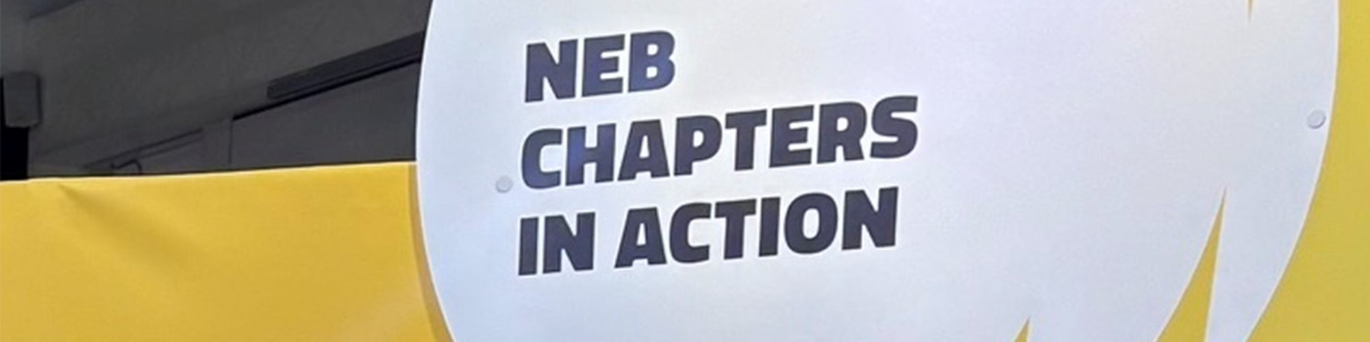 Bild på NEB Chapters in action